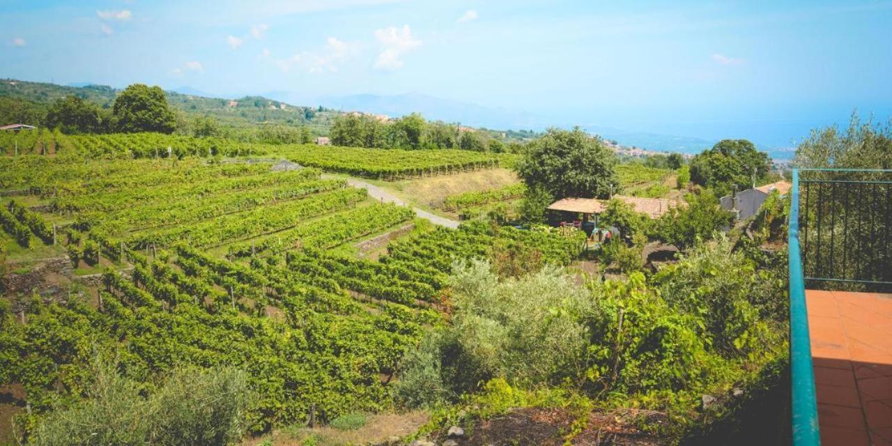 Le Case Del Merlo Turismo Rurale Milo Εξωτερικό φωτογραφία