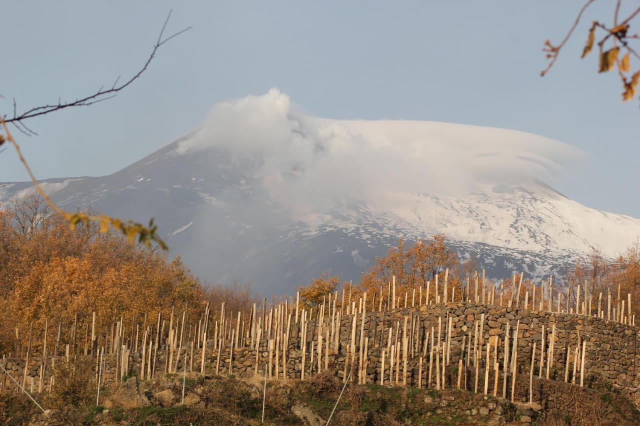 Le Case Del Merlo Turismo Rurale Milo Εξωτερικό φωτογραφία