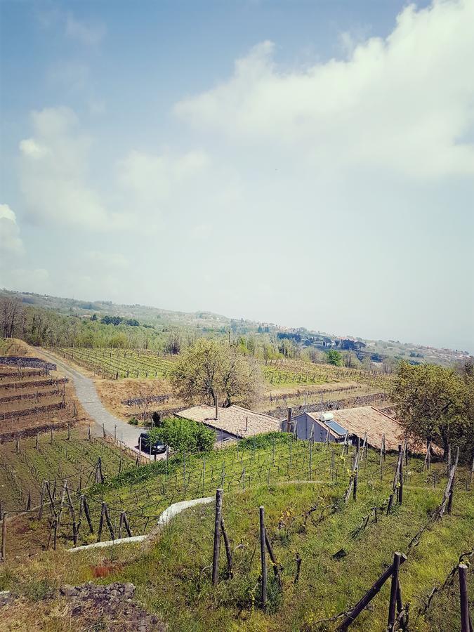 Le Case Del Merlo Turismo Rurale Milo Εξωτερικό φωτογραφία